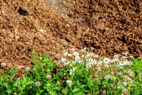 Med Soilfoods jordförbättringsfibrer kan man effektivt öka mängden organiskt material i en mullfattig jord.