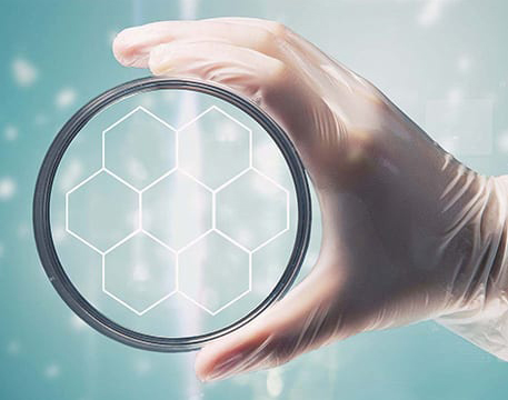 Soilfood deltar i Circles-projektet.