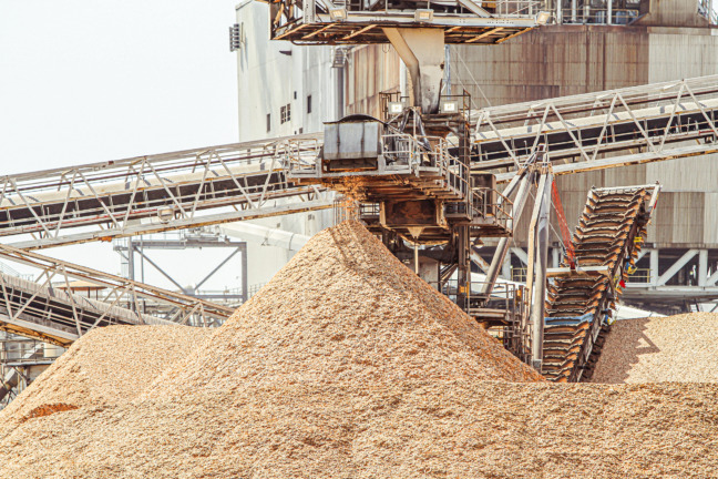 Tjänster för skogsindustrin. Soilfood erbjuder mångsidiga tjänster för industrins olika verksamhetsområden.